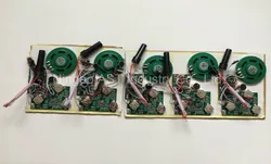 Módulo de Som com Sensor de Movimento Módulo de Som Gravável