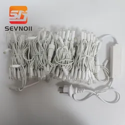 LED-Lichterkette mit zweifarbigen LEDs, dekorative LED-Lichterkette für den Außenbereich 10m LED-Lichterkette