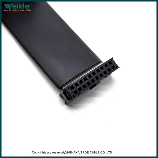 10 Connettore IDC a pin per cavo piatto a nastro per Raspberry Pi cavo segnale per computer pictures & photos