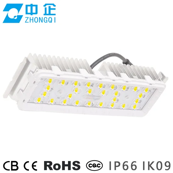Modulo LED da esterno 50W 60W Modulo LED personalizzato Modulo per lampioni Modulo per faretti IP68 Ik08 pictures & photos