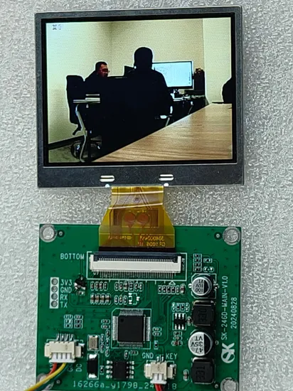 Kompaktes 2.46-Inch TFT LCD-Modul mit AV/CVBS-Eingang für Mikro-Videomaschinenmonitor, industrielle Vision und Rückfahrkamera-Modul pictures & photos