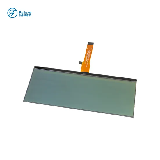 وحدة عرض LCD أحادية الانعكاس الإيجابي 256X96 pictures & photos