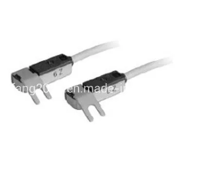 D-R731 Công tắc từ, D-R731 Công tắc tự động, Công tắc cảm biến, Công tắc reed pictures & photos