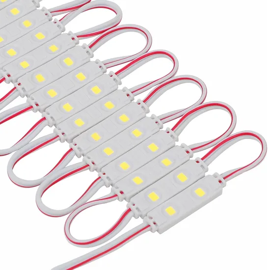 Modulo Mini LED per Insegne 12V DC 2LED Dimensione Mini IP65 Modulo LED per Scatole di Luce Pubblicitarie Insegna di Negozio Luce Modulo LED LED Moduli di Illuminazione pictures & photos