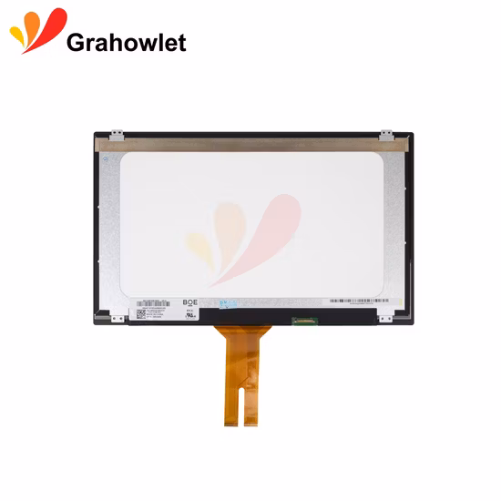 Modulo Display LCD Touch Screen ad Alta Risoluzione 15.6 Pollici pictures & photos