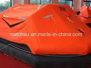 Bao bì container được phê duyệt Solas cho bè phao bơm hơi pictures & photos