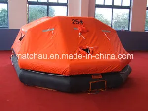 Bao bì container được phê duyệt Solas cho bè phao bơm hơi pictures & photos