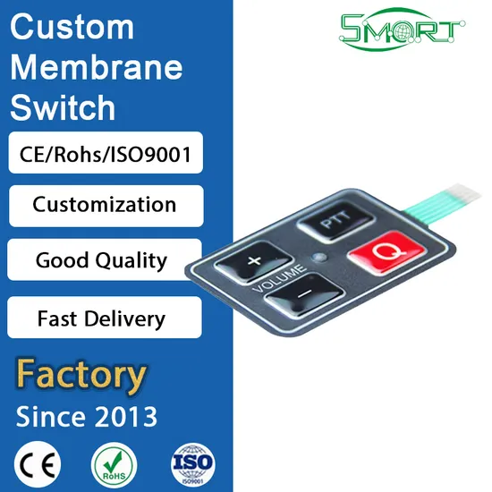 Electrónica Inteligente Personalizada Estándar 2X2 4 Botones Embozados Control Membrana Teclado pictures & photos