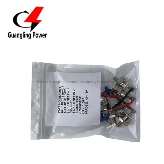 Kit de Diodo Rectificador de Puente Rotativo Rsk2001 para Generador Rsk1001 Rsk2001 Rsk5001 Rsk6001 pictures & photos