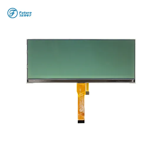 وحدة عرض LCD أحادية الانعكاس الإيجابي 256X96 pictures & photos