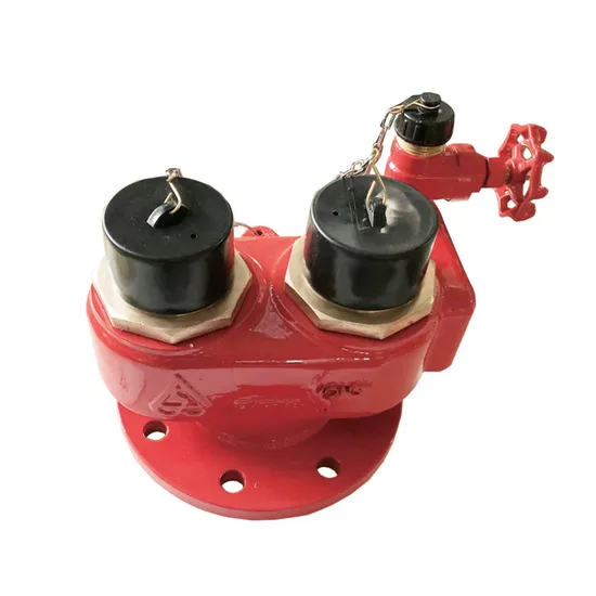 BS5041 Ingresso dei Vigili del Fuoco per il Sistema di Protezione Antincendio con Riser Secco pictures & photos