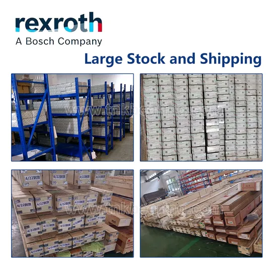 Originele Rexroth R067022540 R067001600 R067122540 R0671-225-45 R067223040 R0670-230-40 R0670 R0671 R0672 Lineaire Bushing Lager pictures & photos