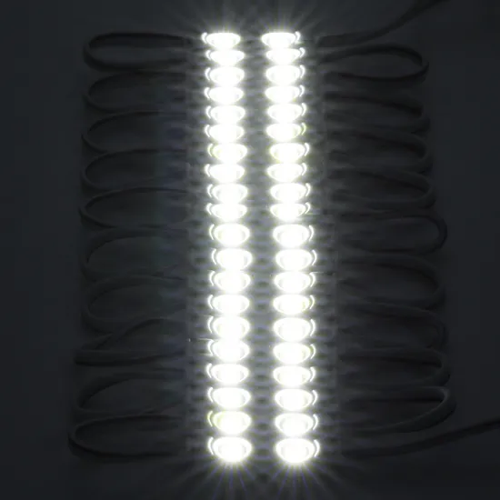 Modulo Mini LED per Insegne 12V DC 2LED Dimensione Mini IP65 Modulo LED per Scatole di Luce Pubblicitarie Insegna di Negozio Luce Modulo LED LED Moduli di Illuminazione pictures & photos