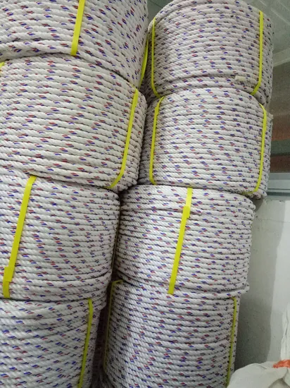 PP İpi Naylon İpi Bükülmüş İp Polyester İpi pictures & photos