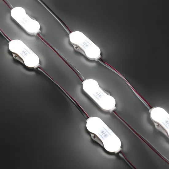 12V Módulo LED IP67 À prova d'água 2LEDs Injeção 1.2W Luz do Módulo LED para Iluminação de Caixas de Luz e Sinais pictures & photos