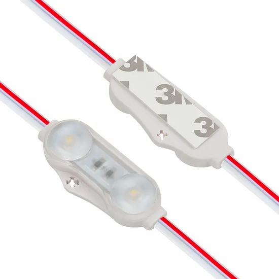 12V Módulo LED IP67 À prova d'água 2LEDs Injeção 1.2W Luz do Módulo LED para Iluminação de Caixas de Luz e Sinais pictures & photos