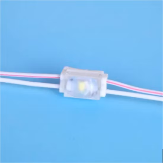 Mini-Wort-LED-Spritzguss kleines Modul LED-Modul Spritzgusslinse wasserdicht Super-Wellen-Lichtkasten-Schild Spezial pictures & photos