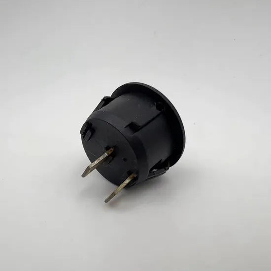 Interruptor oscilante redondo duradero 2-Pin SPST manual de componentes de control eléctrico pictures & photos