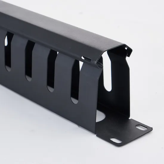 19"Rack إدارة كابلات التركيب لخزانة الشبكة pictures & photos