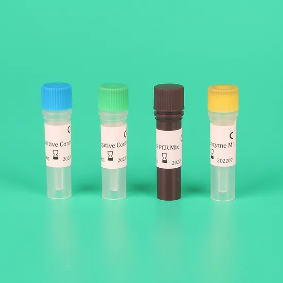 Kit Deteksi Real Time Rt-PCR Uji Deteksi Cepat Reagen Sistem Real Time Rt PCR Kit Reagen Pengujian Kit Deteksi Asam Nukleat PCR Kit Reagen Deteksi PCR pictures & photos