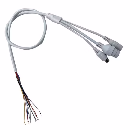 カスタム RJ45 CCTVネットワークPoe IPカメラモジュールビデオ電源ケーブルセキュリティカメラケーブル pictures & photos
