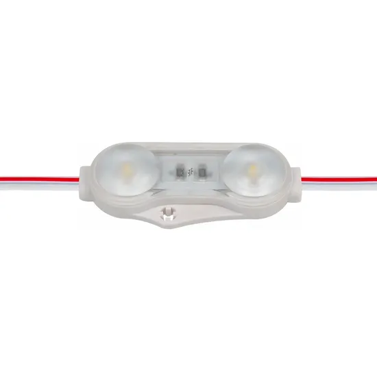 12V Módulo LED IP67 À prova d'água 2LEDs Injeção 1.2W Luz do Módulo LED para Iluminação de Caixas de Luz e Sinais pictures & photos