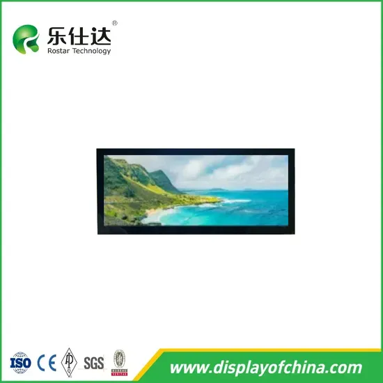 10.25 شاشة TFT بوصة 1920*720 وحدة LCD لأجهزة القياس في السيارات pictures & photos