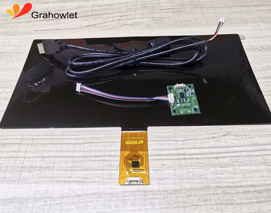 11 Módulo de Display LCD de 10 polegadas com Funcionalidade de Tela Sensível ao Toque Incluída pictures & photos