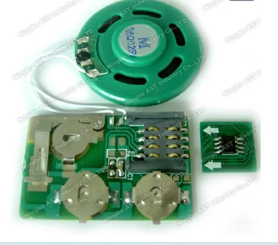 DIY Klangmodul programmierbares Modul Sprachaufnahme pictures & photos