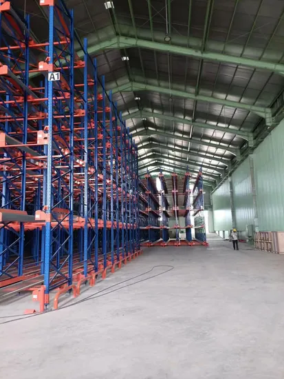 Otomatik Radyo Shuttle Raf Sistemleri Metal Palet Rafı Shuttle Rafı Lojistik Depo Rafı Depolama Çözümleri pictures & photos