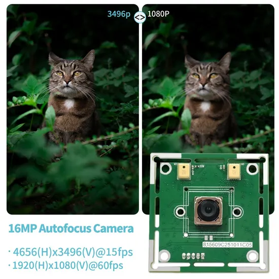 4K เครื่องสแกนไฟล์วิชั่น UVC อัตโนมัติ โฟกัสอัตโนมัติ โมดูลกล้อง USB ขนาดเล็ก CMOS อุตสาหกรรม pictures & photos