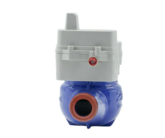 Misuratore d'acqua intelligente ad alta precisione R80/R100/R160 Raccolta dati in tempo reale con IP68 pictures & photos