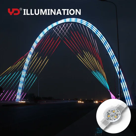 DMX512 Pixel LED Programável com Sistema de Controle Inteligente pictures & photos