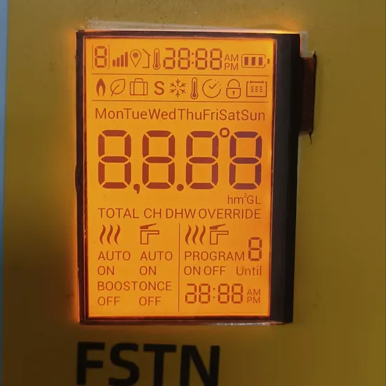 LCD Ekran LCD Renk Paneli LCD Gösterim Modülü pictures & photos