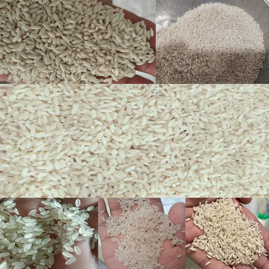„Umgestaltung der Reisknetmaschine für die angereicherte Reisverarbeitungslinie, Produktion von Reiskernen, Wiederherstellungsanlage“ pictures & photos
