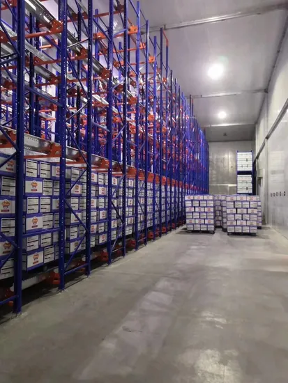 Rak Stacking Multi Layer Shuttle Rak Kepadatan Tinggi Rak Pallet Berat Sistem Rak Penyimpanan Gudang Racking Shuttle Radio Otomatis pictures & photos