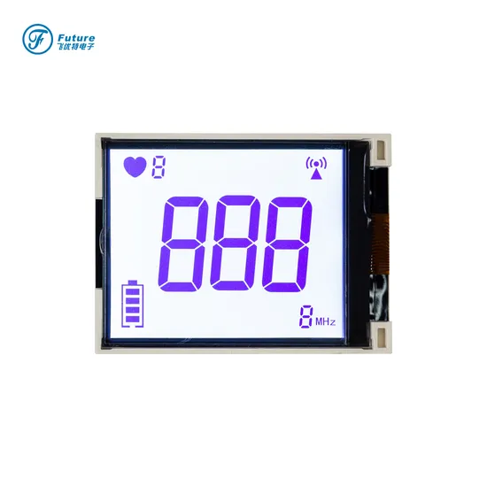 Fabrikproduktion FSTN positives Segment-LCD-Anzeigemodul für Thermometer pictures & photos