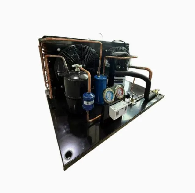 Individuelle Kompressor-Verflüssigungseinheit für R134A-R404A-Kältemittelsysteme pictures & photos