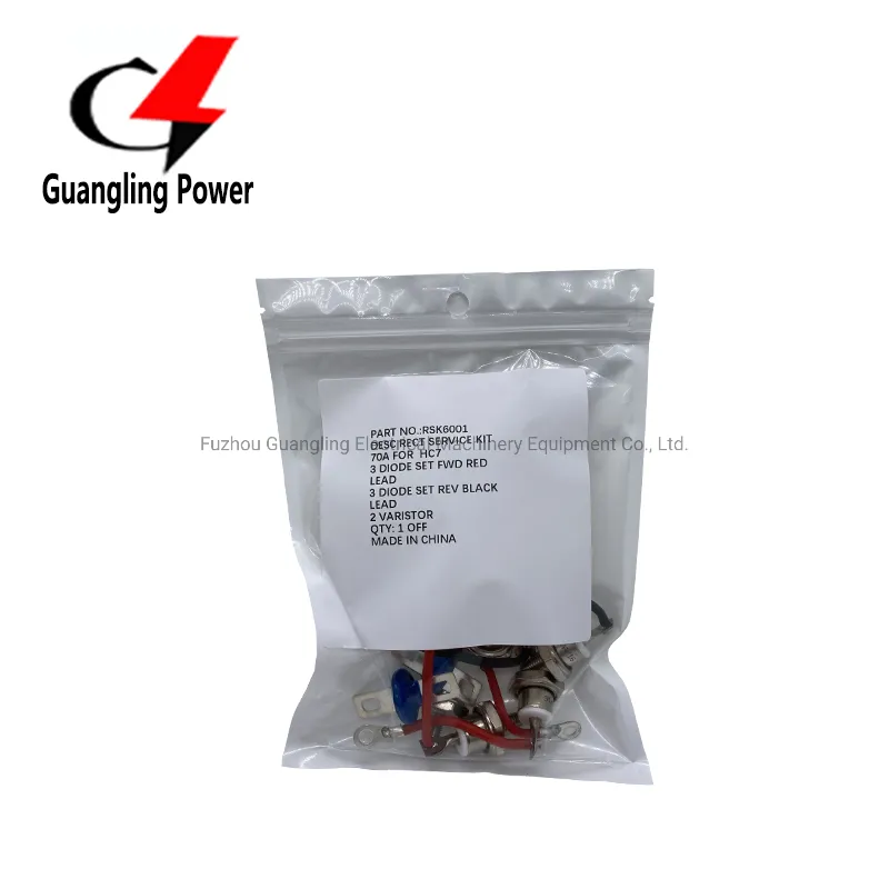 Kit de Diodo Rectificador de Puente Rotativo Rsk2001 para Generador Rsk1001 Rsk2001 Rsk5001 Rsk6001 pictures & photos