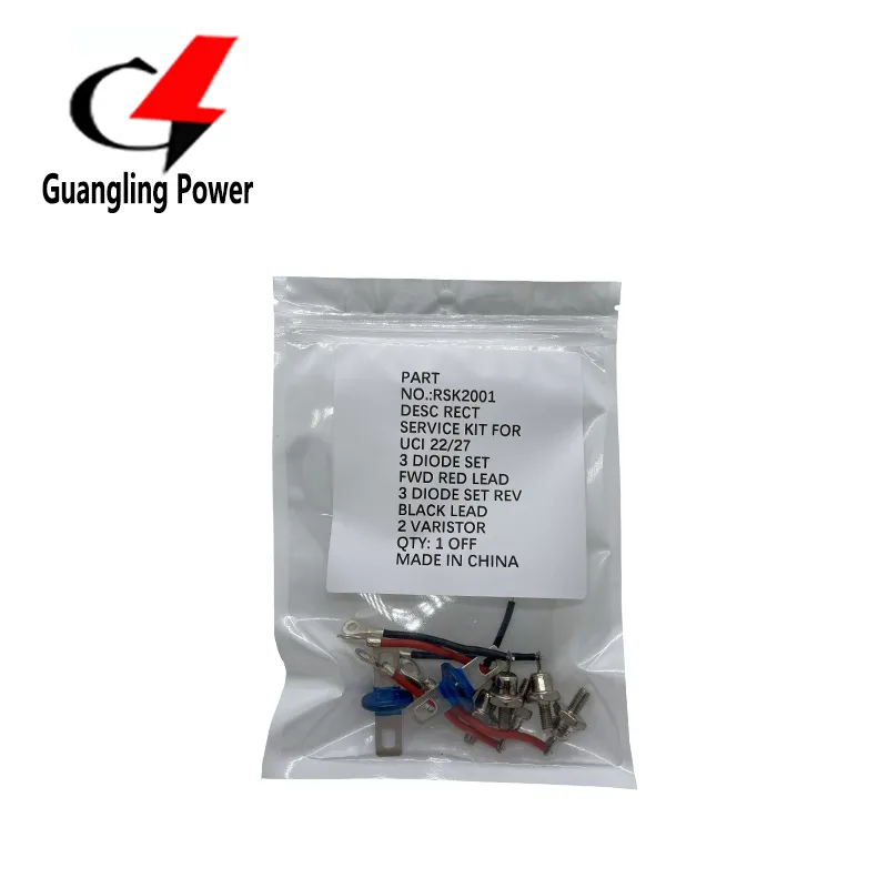 Kit de Diodo Rectificador de Puente Rotativo Rsk2001 para Generador Rsk1001 Rsk2001 Rsk5001 Rsk6001 pictures & photos