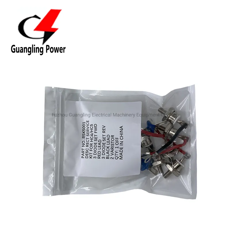 Kit de Diodo Rectificador de Puente Rotativo Rsk2001 para Generador Rsk1001 Rsk2001 Rsk5001 Rsk6001 pictures & photos