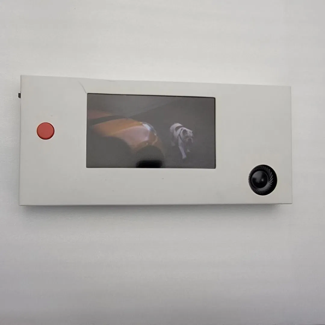 Модуль видеоплеера MP4 Модуль LCD видео pictures & photos