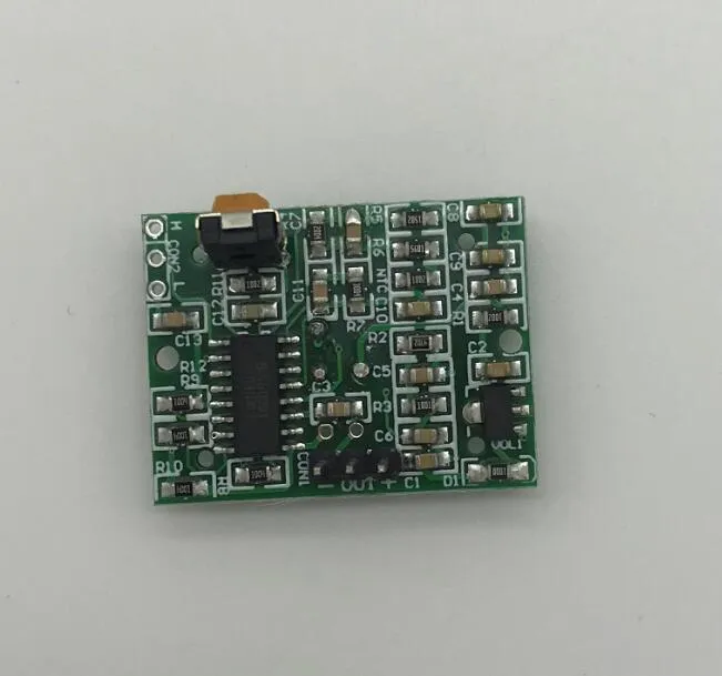 Hw-8002 PIR-sensormodule verstelbare infrarood bewegingssensor regelmodule pictures & photos