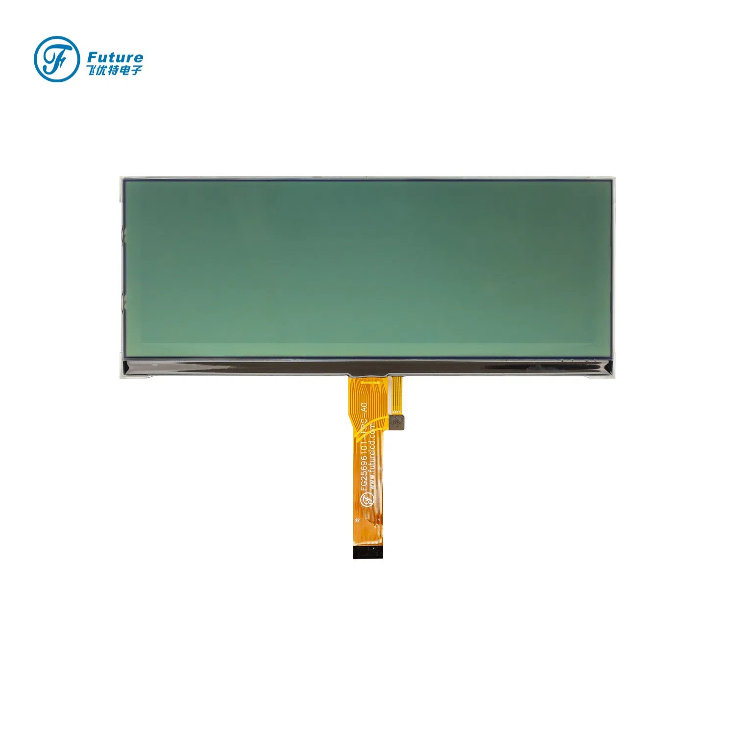 وحدة عرض LCD أحادية الانعكاس الإيجابي 256X96 pictures & photos
