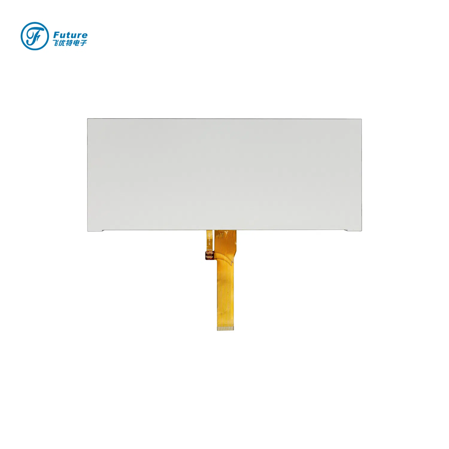 وحدة عرض LCD أحادية الانعكاس الإيجابي 256X96 pictures & photos