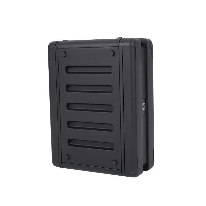 Caja de Vuelo Plástica 12 Pulgadas de Profundidad Superficial 3u Rack Resistente pictures & photos