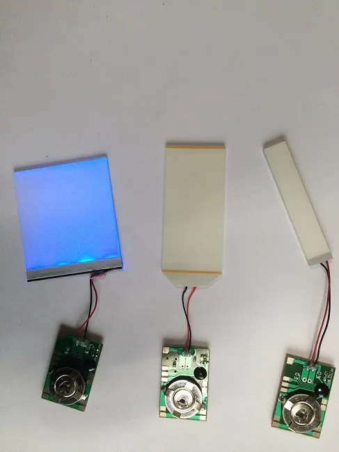 Módulos de Flash LED para Exhibición, Módulo de Luz LED Flasher pictures & photos