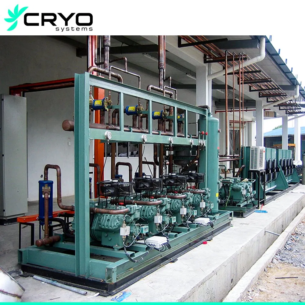أنظمة رفوف الضواغط المتعددة نظام رف الضواغط المتعددة pictures & photos