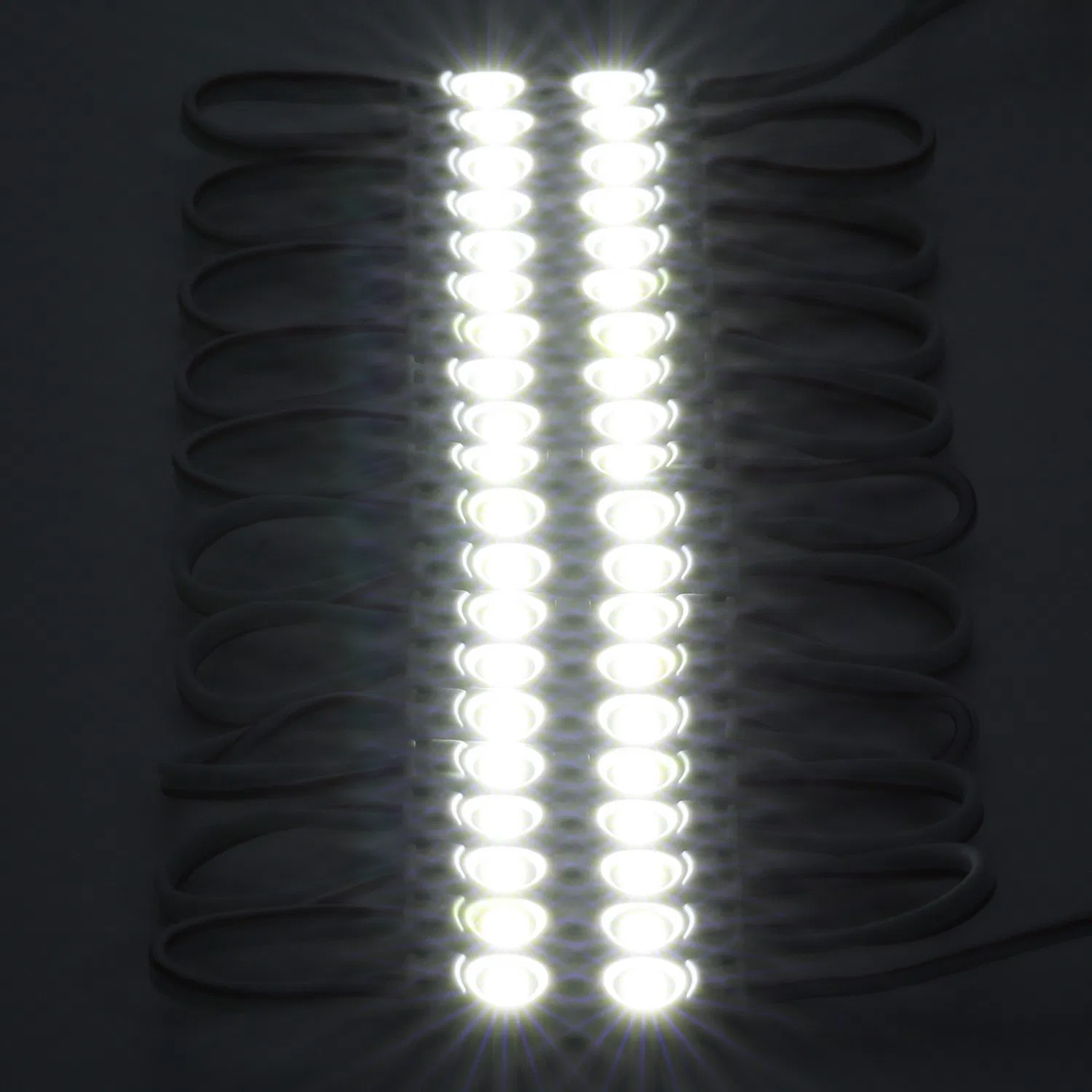 Modulo Mini LED per Insegne 12V DC 2LED Dimensione Mini IP65 Modulo LED per Scatole di Luce Pubblicitarie Insegna di Negozio Luce Modulo LED LED Moduli di Illuminazione pictures & photos
