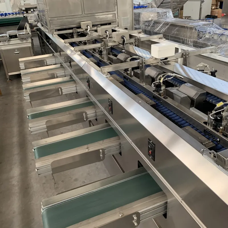 Date Palm Optical Sorting Machine, Size and Defect Sorting, Grading pictures & photos